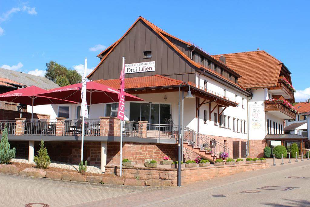 Hotel Drei Lilien Waldbrunn  Extérieur photo